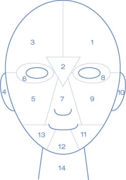 facemap