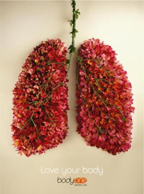 lungs