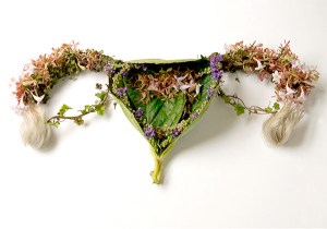 PP-Flower-Plant-Organs-Uterus