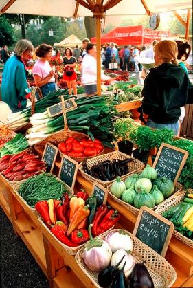 6c94874066cd108cd50ff9d2005c1aab