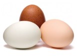 eggs-may-13-p28-660x484